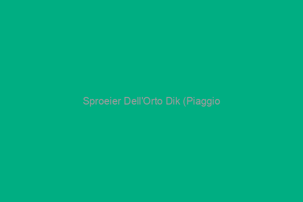 Sproeier Dell'Orto Dik (Piaggio/Minarelli) Mt:82